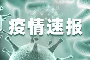 最新疫情通报！北京有人不戴口罩串门致13人确诊、北京通报新发地首个病例确诊过程